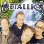 Acoustic Metal詳情