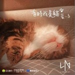 有時我是貓 （單曲）詳情