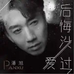 后悔沒愛過 （單曲）詳情