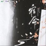 宿命 （單曲）詳情
