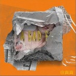 A Bad Boy （單曲）詳情