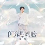 閃亮的翅膀 （單曲）詳情
