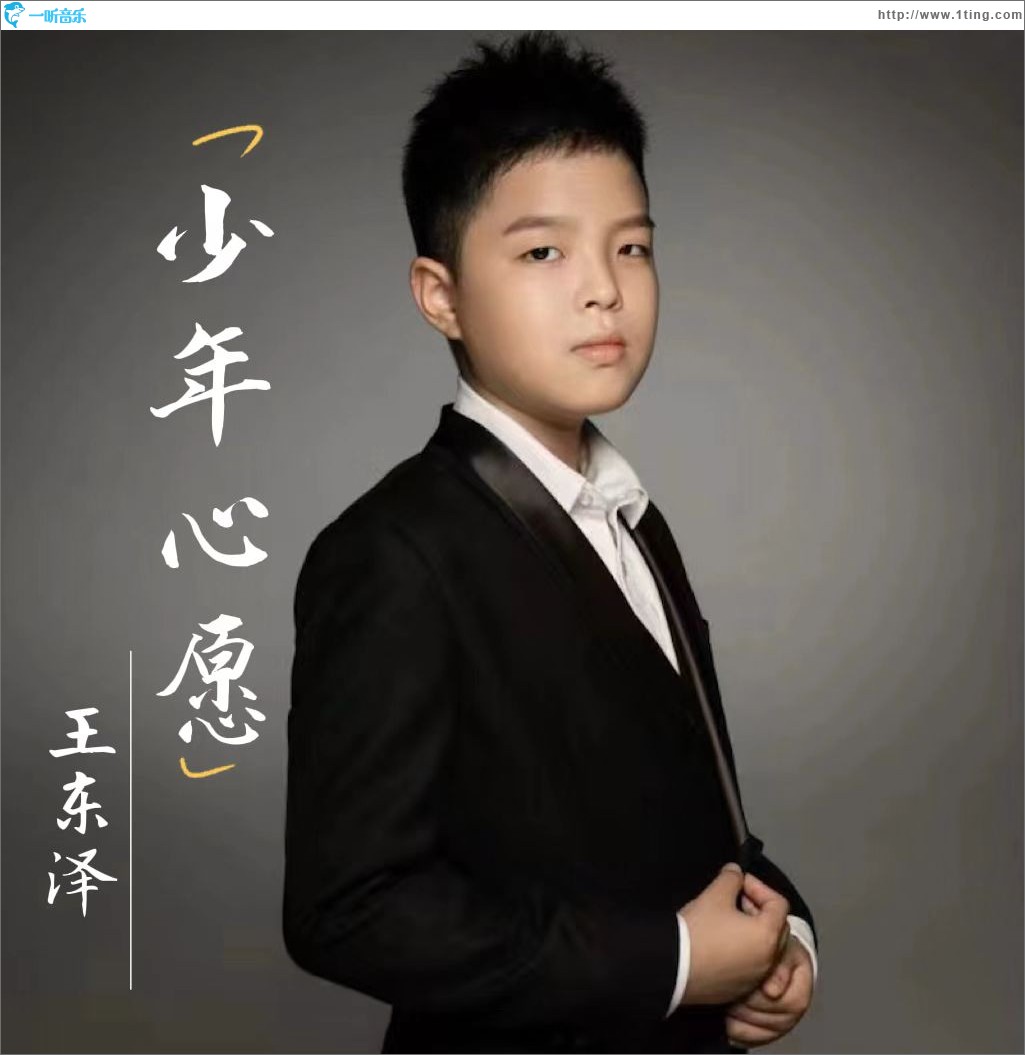 少年心愿（單曲）
