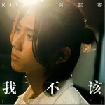 我不該 （單曲）詳情