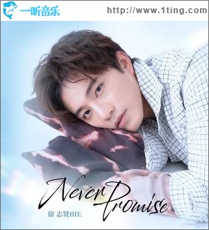 Never Promise （單曲）