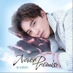 Never Promise （單曲）詳情