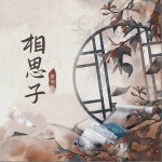 相思子 （單曲）詳情