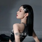 嘲弄體系 （EP）詳情