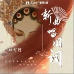 新曲唱舊詞 （單曲）詳情