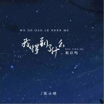 我得到了什么，報應嗎 （單曲）詳情