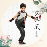少年風 （單曲）試聽