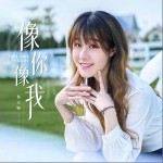 像你像我 （單曲）詳情