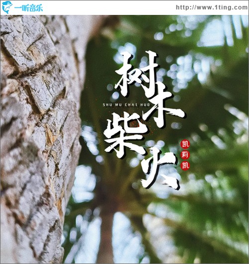 樹木柴火