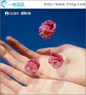 生命是一場絢爛的浪費 （單曲）