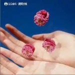 生命是一場絢爛的浪費 （單曲）詳情