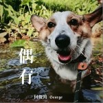 偶有 （單曲）詳情