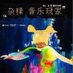 雜糅音樂玩家 （單曲）詳情