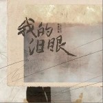 我的淚眼 （單曲）詳情
