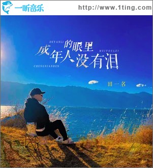 成年人的眼里沒有淚 （單曲）