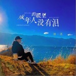成年人的眼里沒有淚 （單曲）詳情