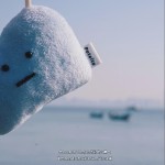 冬熊在春風里意識不到死亡 （單曲）試聽