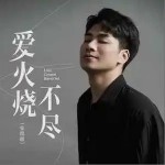 愛火燒不盡 （單曲）詳情