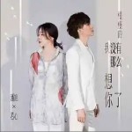 慢慢的我沒有那么想你了 （單曲）詳情
