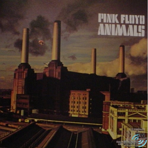 Animals