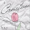 洪成龍Alex Hong Camilou 試聽