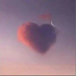 不想突然失蹤它變成空白 （單曲）詳情