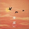 暗杠 大雁 試聽
