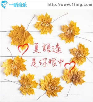 是你眼中 （單曲）