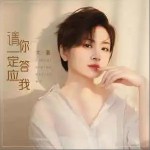 請你一定答應我 （EP）詳情
