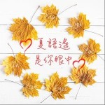 是你眼中 （單曲）詳情