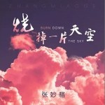 燒掉一片天空 （單曲）詳情