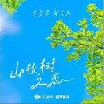 山楂樹之戀 （單曲）詳情