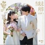 當我走向你 （單曲）詳情