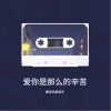 娜寶傷感音樂 愛你是那么的辛苦 試聽