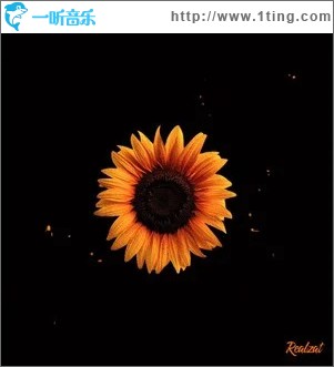 花 （EP）