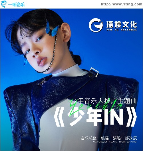 少年IN（少年音樂人推廣主題曲）
