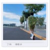 丁煒 情歌手 試聽