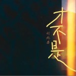 才不是 （單曲）詳情