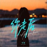 你走后 （單曲）詳情