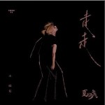 夏日少年氣2.0 （單曲）詳情
