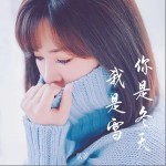 你是冬天我是雪 （單曲）詳情