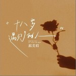 十八歲遇見的人 （單曲）詳情