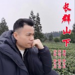 長群山下 （單曲）試聽