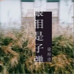 眼淚是子彈 （單曲）詳情