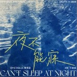 夜不能寐 （單曲）詳情