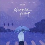 別為他淋在雨中 （單曲）詳情